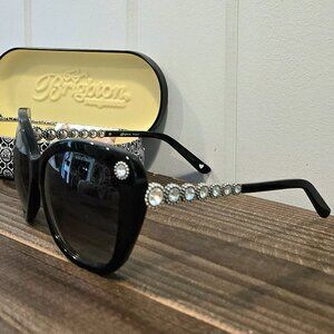 Brighton sunglasses